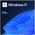 MS Win 11 Pro 64b ESD