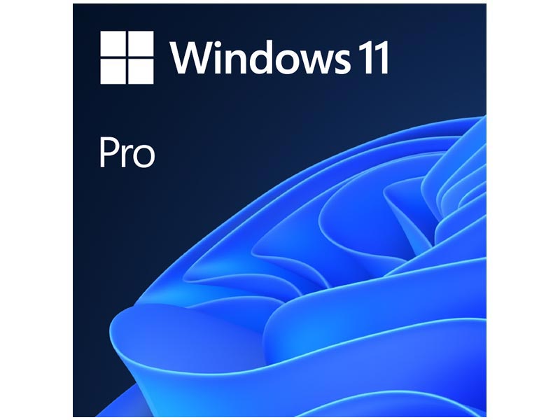 MS Win 11 Pro 64b ESD